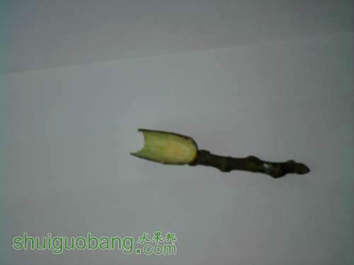  Ƭ-0190.jpg