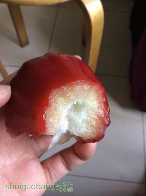 2014-01-21 095708.jpg