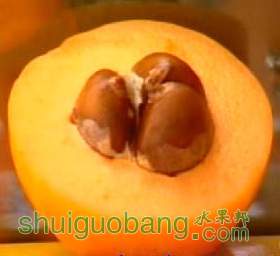 aHR0cDovL2ltZzAxLnRhb2Jhb2Nkbi5jb20vYmFvL3VwbG9hZGVkL2kxL1QxS2pxM1hnMGVYWGM0Qm5j.jpg