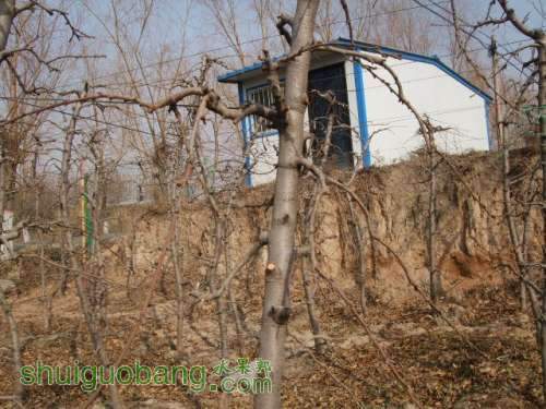 2013�궬���޼���������� 004.jpg