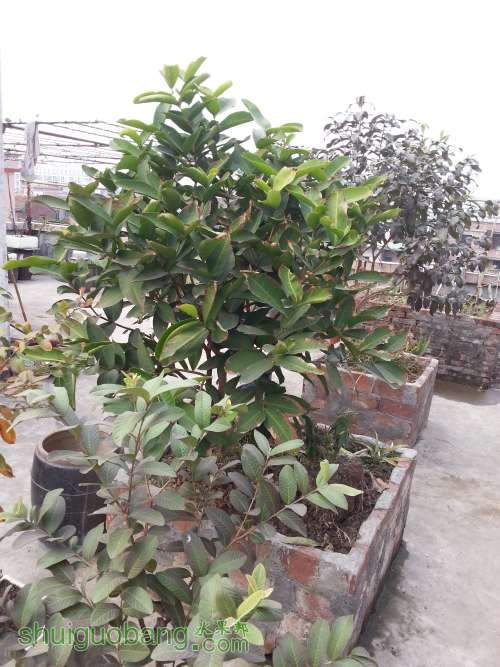 WP_20140126_029.jpg