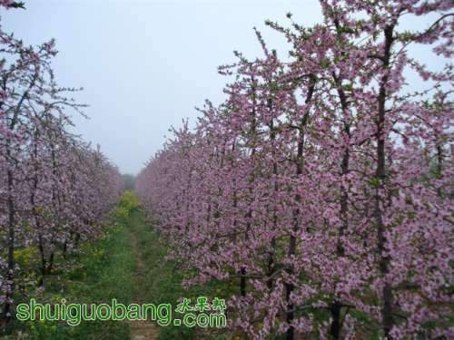 020545byyezn90uryurbuw.jpg