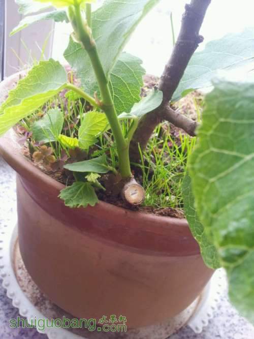 20140201-3.jpg