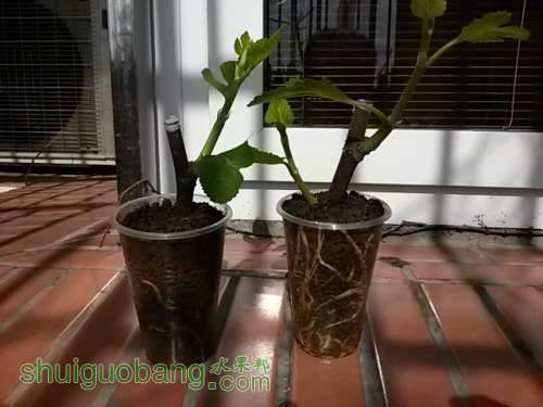 20140204_120610.jpg