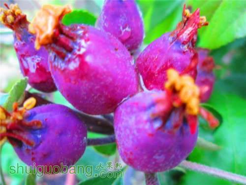 �Լ�������Ƭ 240.jpg