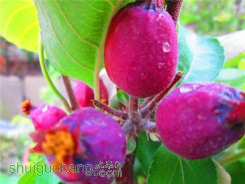 �Լ�������Ƭ 239.jpg