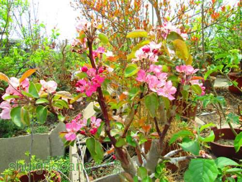 �Լ�������Ƭ 0091.jpg