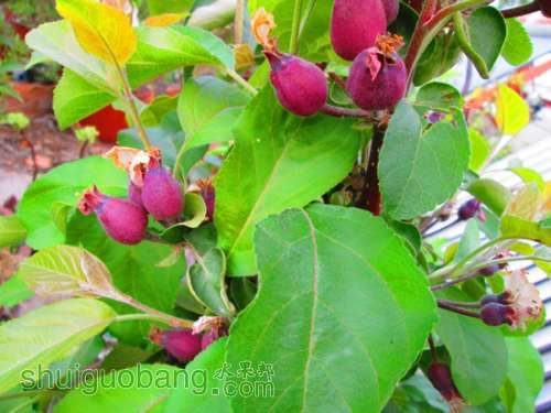 �Լ�������Ƭ 1832.jpg