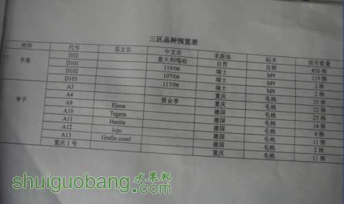 DJOBHLUWPZ7[2SBPG75IT@W.jpg