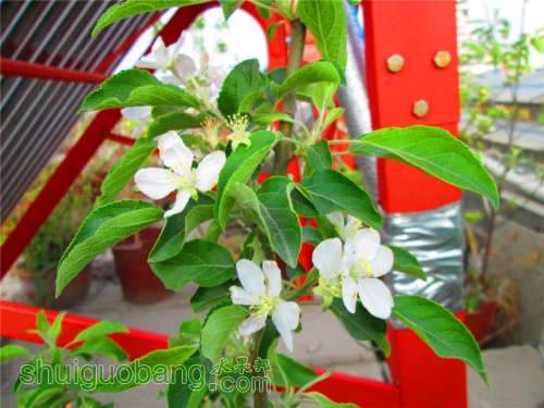 �Լ�������Ƭ 048.jpg