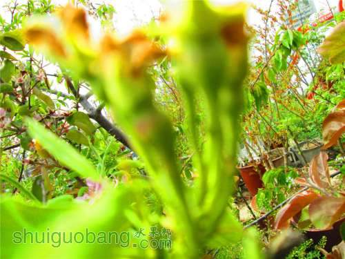 �Լ�������Ƭ 021.jpg