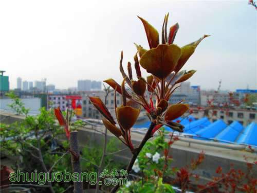 �Լ�������Ƭ 035.jpg