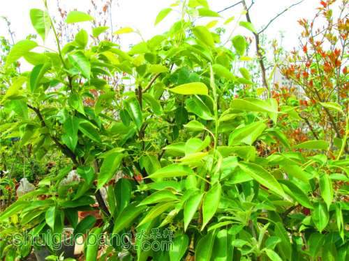 �Լ�������Ƭ 002.jpg