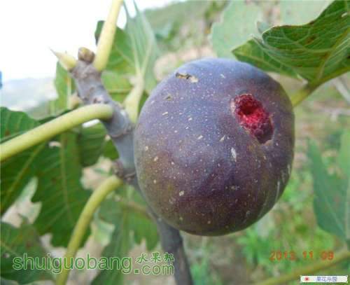 54_9_041abcbda8f49f1.jpg