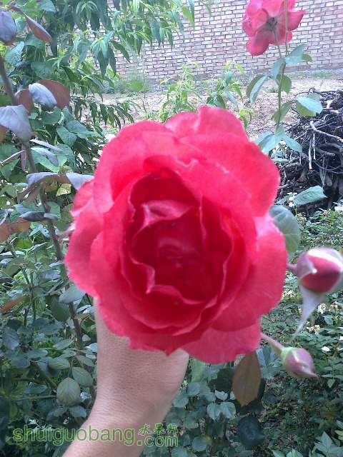 20130825872.jpg