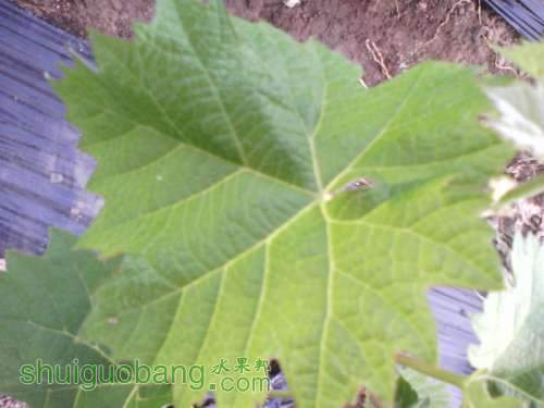 IMG_20130502_163944823.jpg