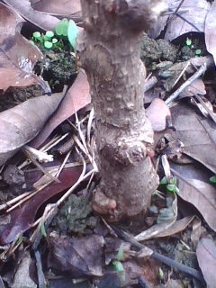 img0210_113043347.jpg