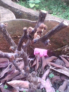 img0210_113021023.jpg