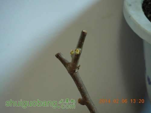 DSCN3750_.jpg