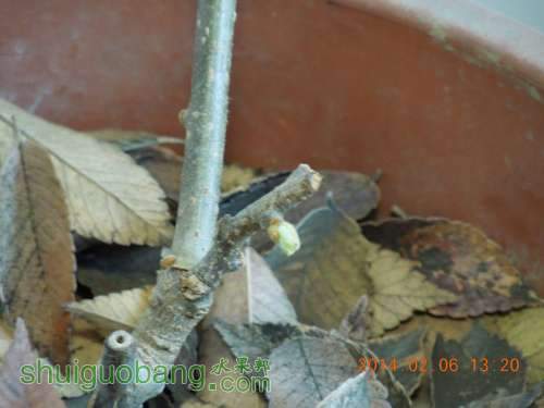 DSCN3749_.jpg