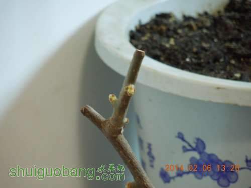 DSCN3751_.jpg