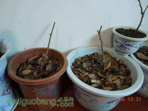 DSCN3752_.jpg