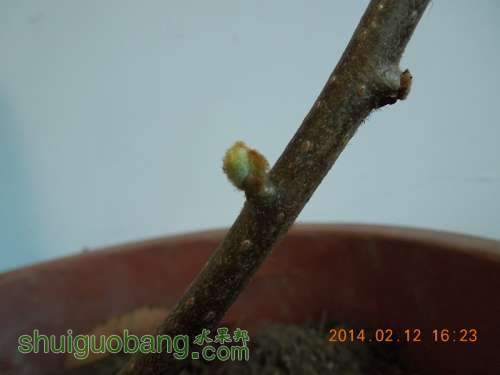DSCN3758_.jpg