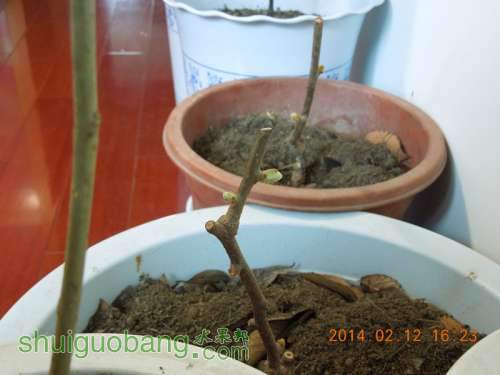 DSCN3759_.jpg