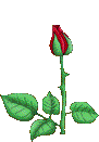 QQͼƬ20140211113648.gif