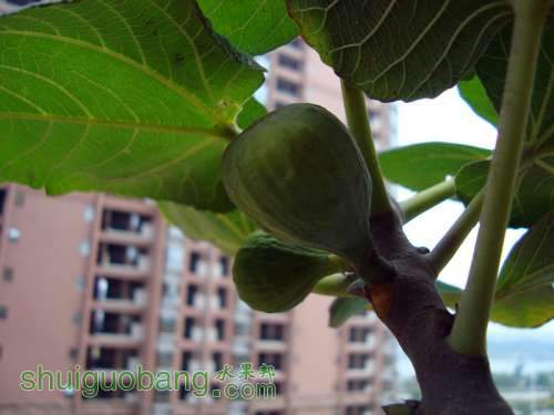 DSC07879_.jpg