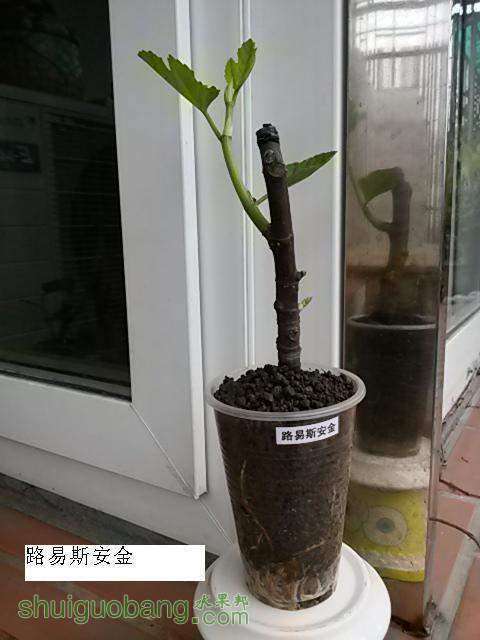 20140216_123743.jpg