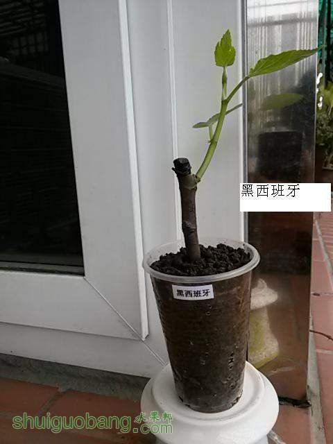 20140216_124022.jpg