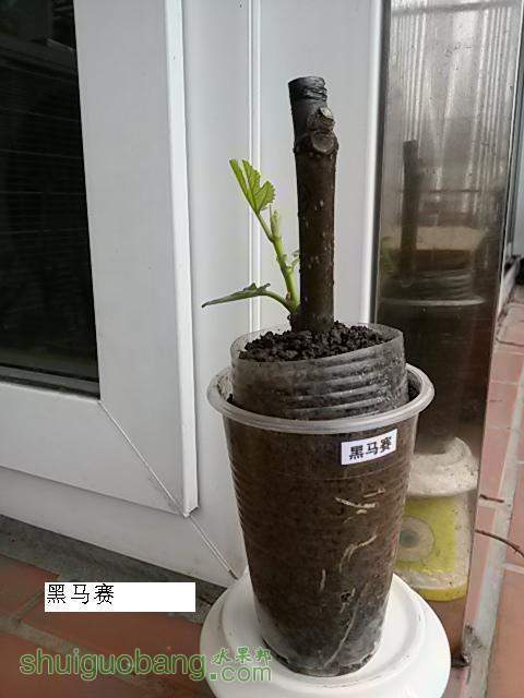 20140216_123851.jpg