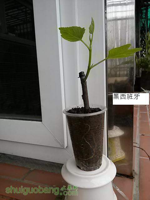 20140216_124118.jpg