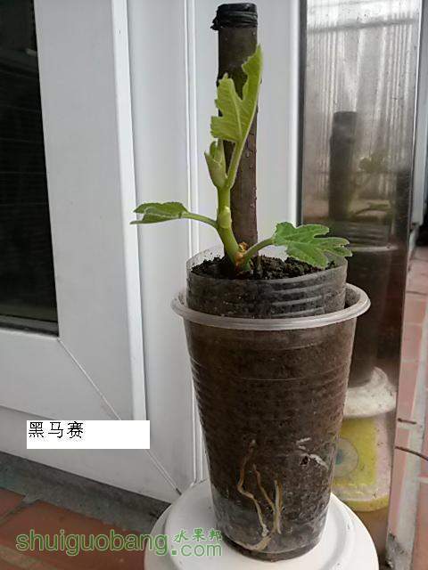 20140216_123915.jpg