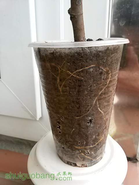 20140216_124736.jpg