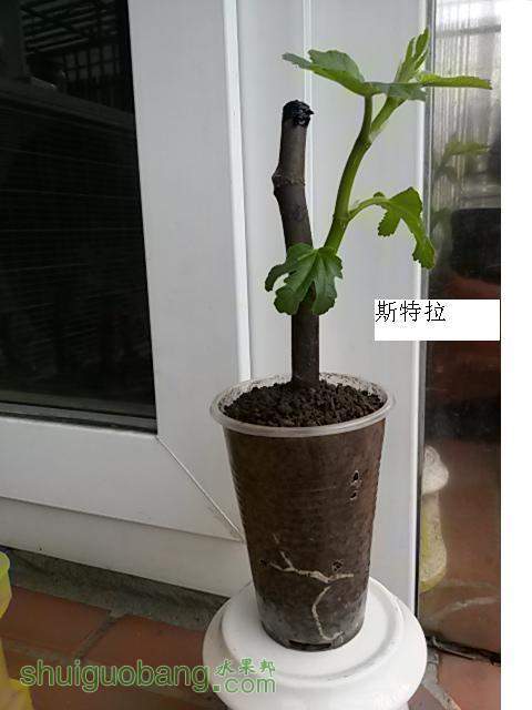 20140216_124238.jpg
