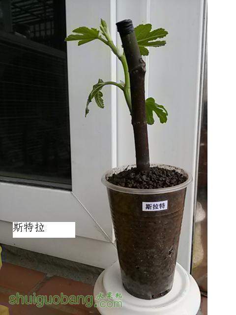 20140216_124226.jpg