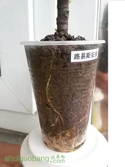 20140216_124638.jpg