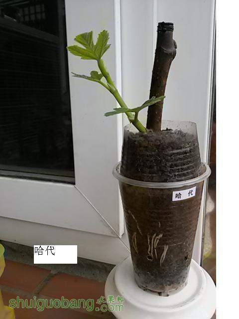 20140216_124341.jpg