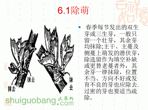 44.gif