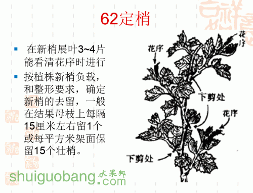 45.gif