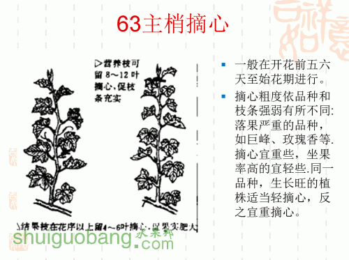 46.gif