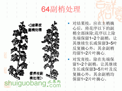 47.gif
