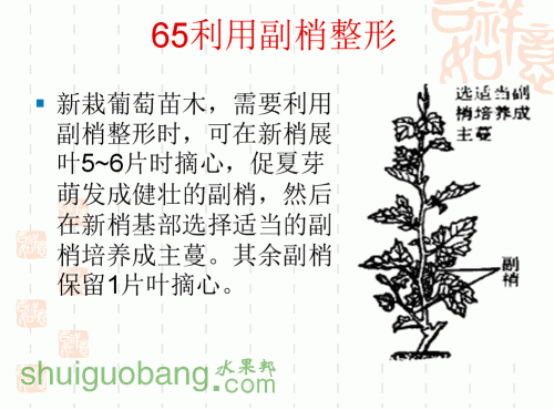 48.gif