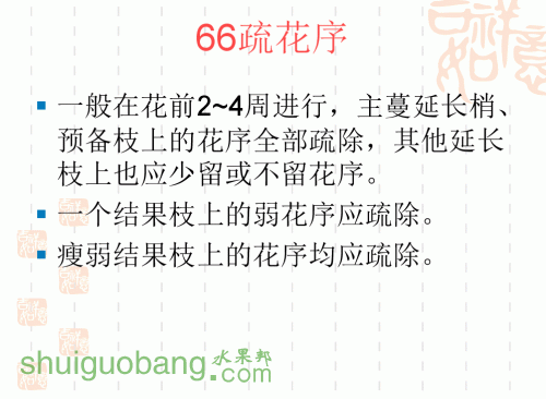 49.gif
