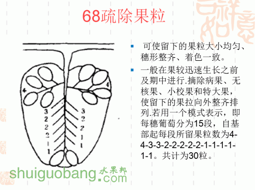 51.gif