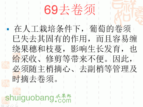 52.gif