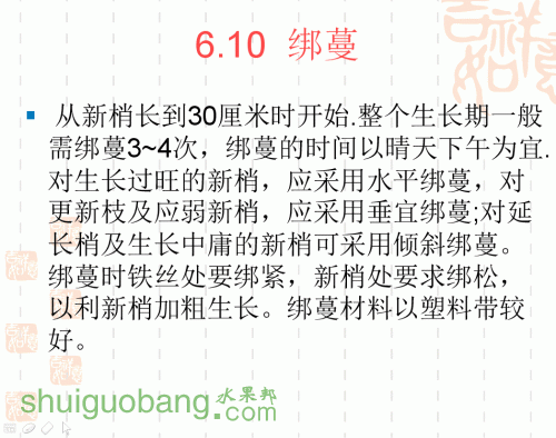 53.gif