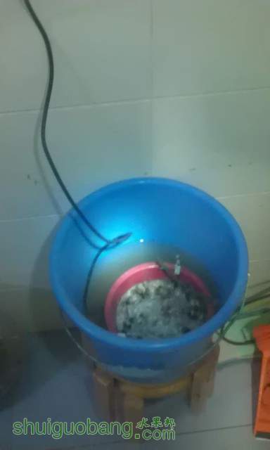 IMAG0892.jpg